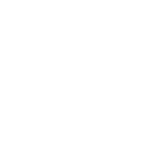 Dartington Parish Council